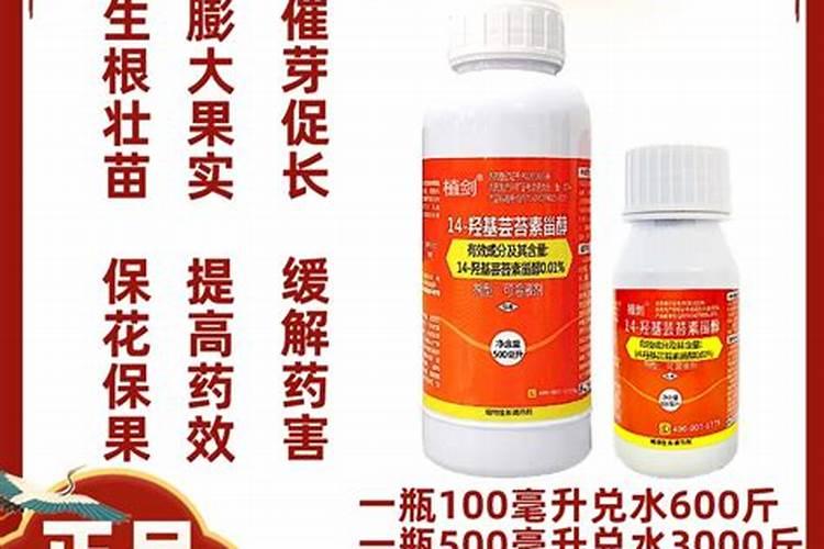 芸苔素内酯生产厂家