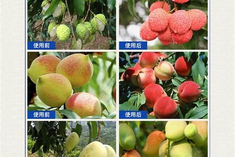 苹果树喷什么叶面肥好