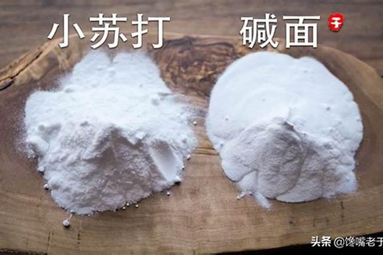 金钱树烂根能救活吗