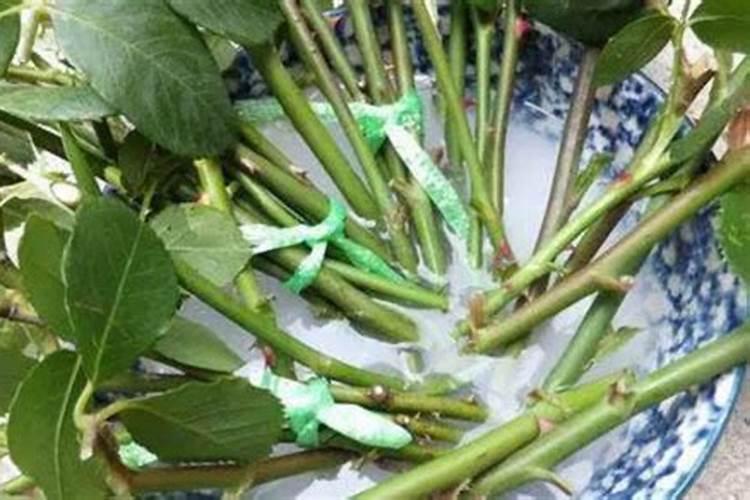 都说在农村卖化肥的利润大,一袋化肥能够赚多少？