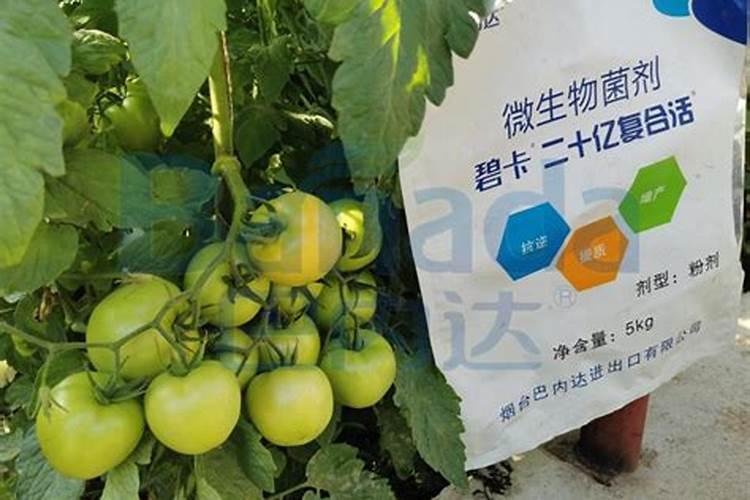 家庭种花怎样做氮肥,磷肥,钾肥它们各有什么作用？