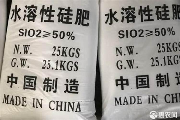 新栽茶苗该采用何种施肥方式