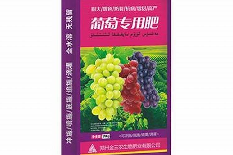 我有一大片葡萄园,可以用迪斯科针状肥吗？