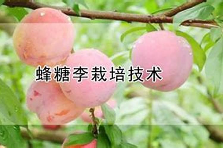 养殖水体一般放那些菌种肥水