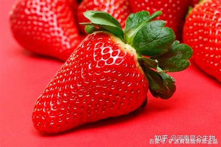 草莓结果的时候要施什么肥
