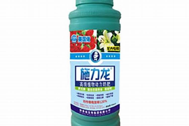 花卉叶面肥使用方法 叶面肥喷叶子正面还是背面