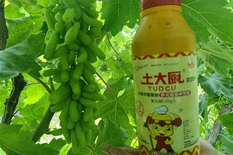 果树一至二月份开花几月份施硼肥合适、