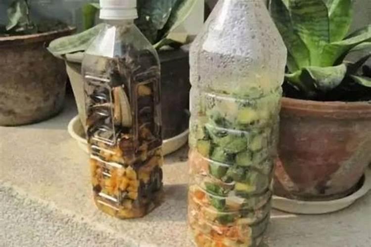 烂水果可以做肥料吗
