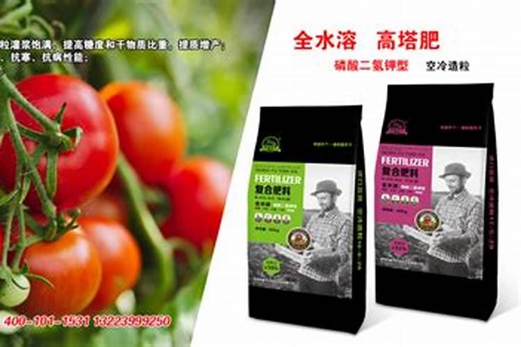 各位专家,西红柿屁股黑了,是什么病？用什么药？谢谢!