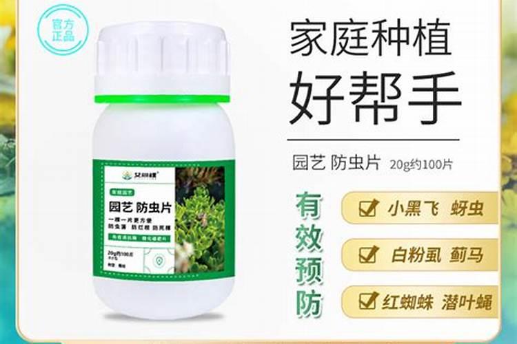 兰花盆里放入糖化硼肥片能起到杀菌作用吗