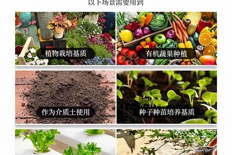 过期小米还能干什么