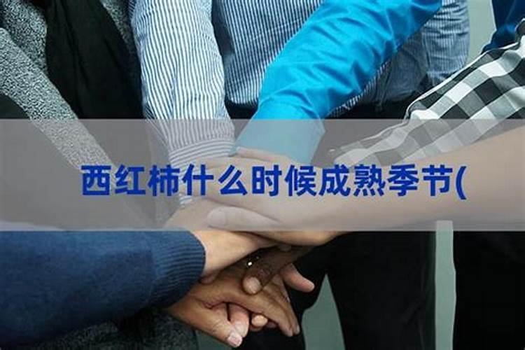 玉米打什么叶面肥最好
