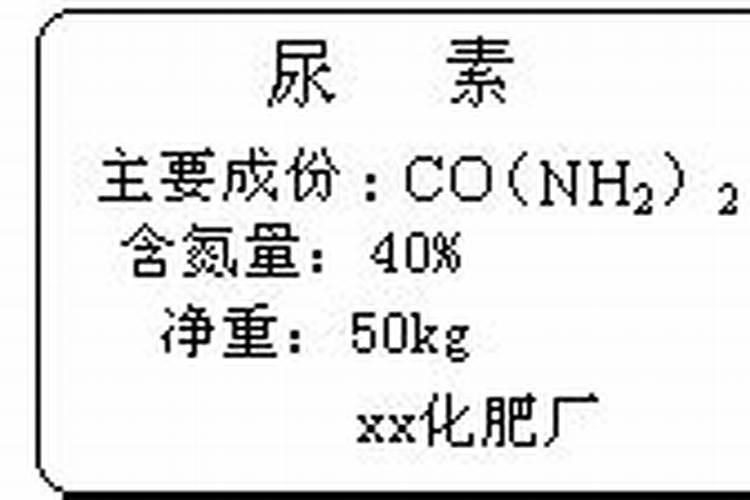 玉米在下雨前撒尿素可以吗