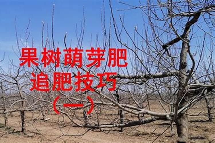 丝瓜栽培防畸形是关键,具体应该怎么做呢？