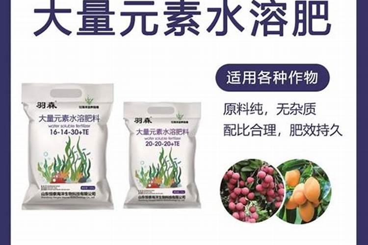 药用油是什么？