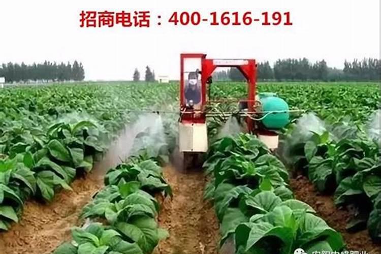 硫酸钾好还是硝硫基好
