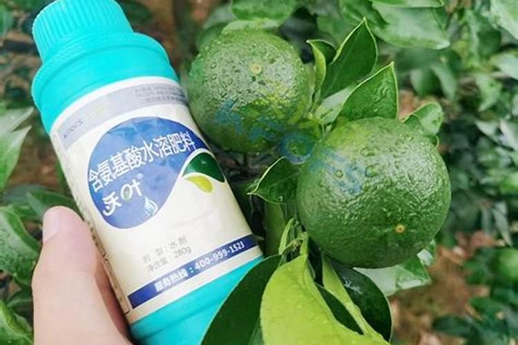 桔子膨果用什么肥料？