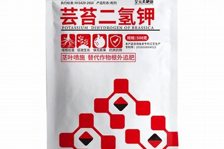 小麦磷酸二氢钾与芸苔素配施最佳时间(芸苔素磷酸二氢钾作用)