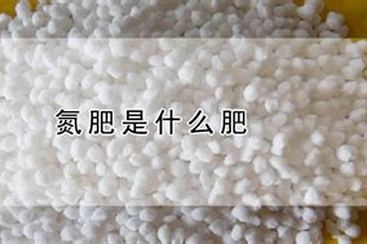 氮肥施用方法及注意事项