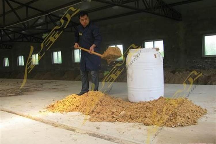 氨基酸叶面肥果树涂杆枝术怎么操作？