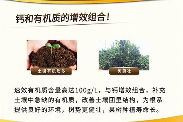 现在市场上好的钙肥是什么？最好是底施用的