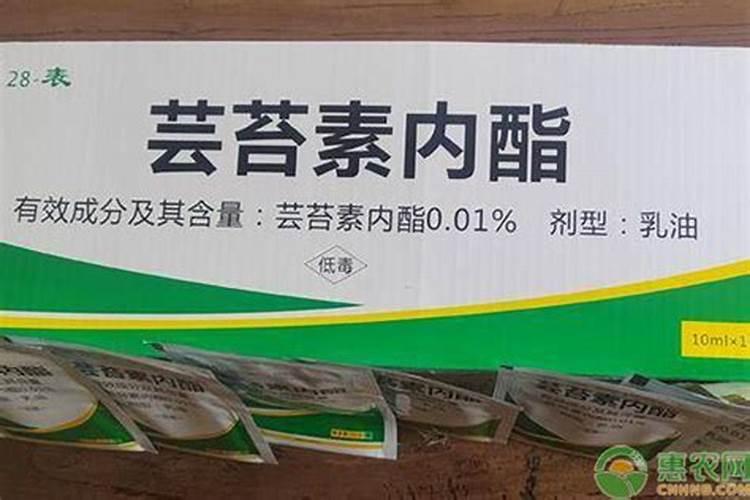 芸苔素几天打一次合适
