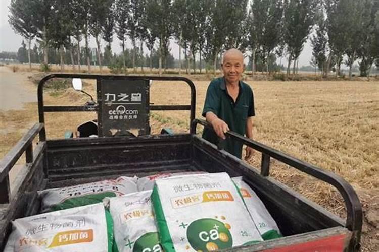 硝酸磷肥价格多少 硝酸磷肥和尿素哪个好