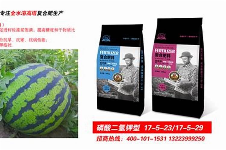 硝酸磷肥价格多少