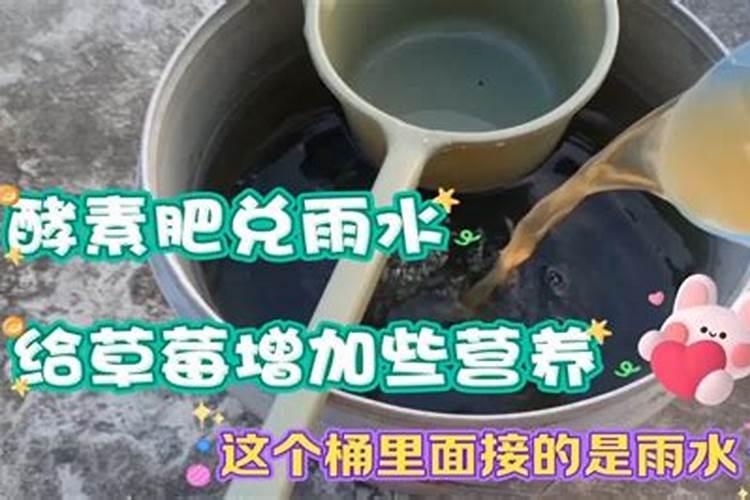 沙糖桔高产种植管理技巧 沙糖桔怎么施肥