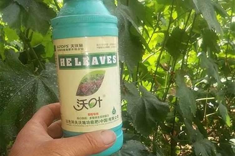 叶面肥磷酸二氢钾使用方法