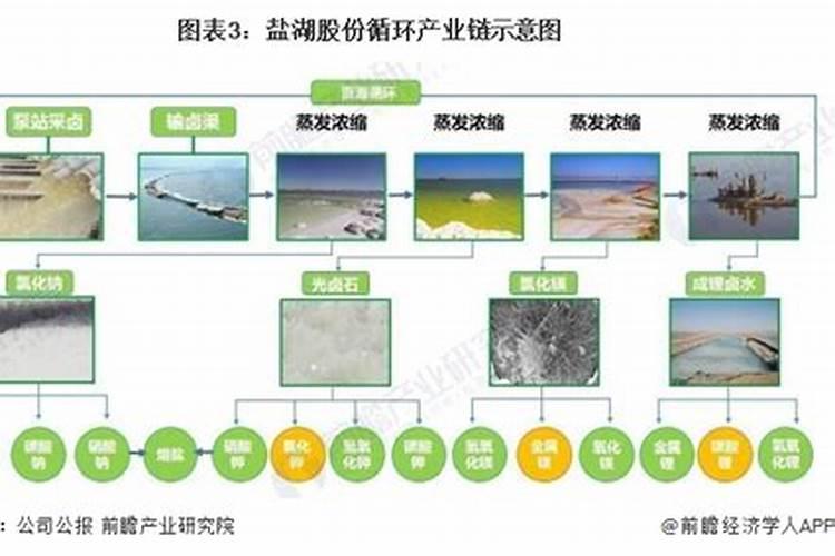 生根剂水溶肥叶面喷施效果会好吗