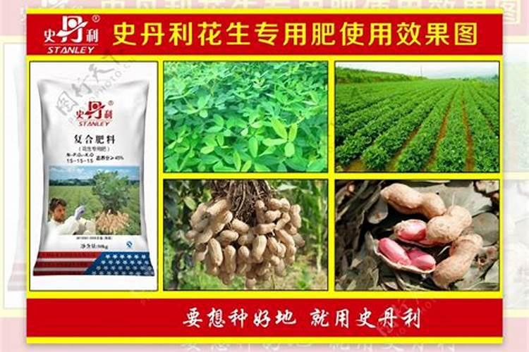 花生用什么肥最好