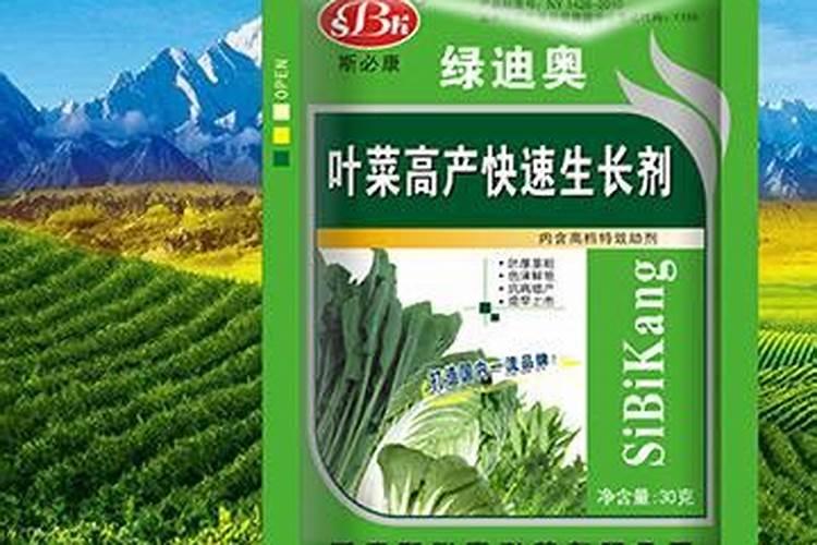 什么肥料可以让植物快速生长  长苗最快又不伤苗用什么肥料