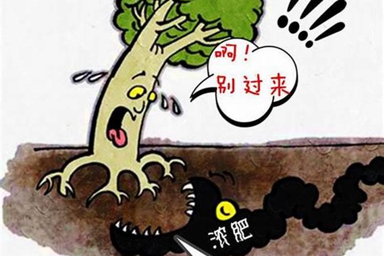 小麦专用控旺特效药