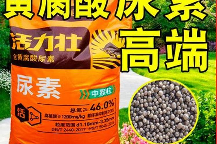 种猕猴桃施什么肥