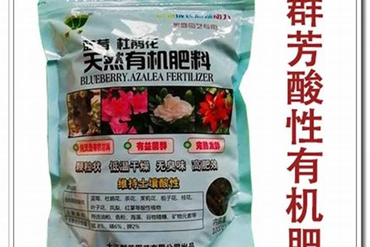 四季杜鹃茶花施什么肥料