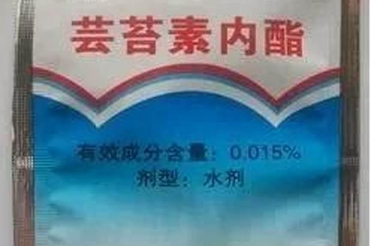 水稻药害用什么解药
