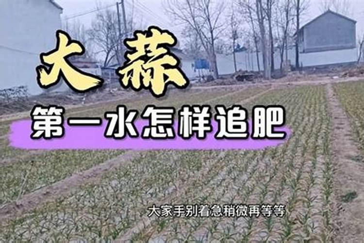 大量元素水溶肥怎么施用