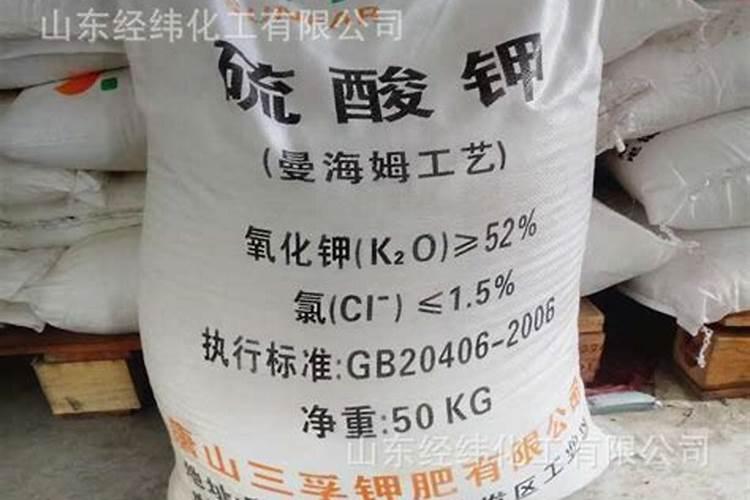 吉粳528水稻种子去哪里能买到？