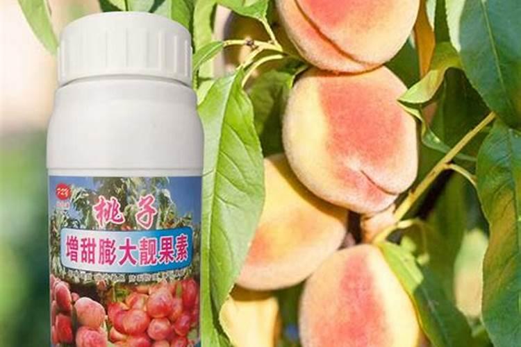 桃树用什么肥料最好