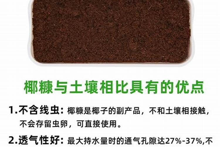 椰砖种菜会有什么不良后果吗？