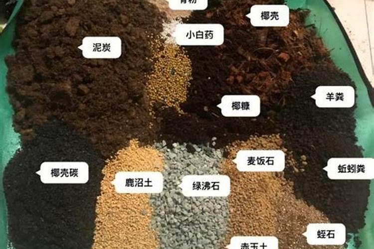 椰砖怎么用