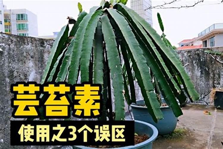 芸苔素内酯和复硝酚钠哪个好