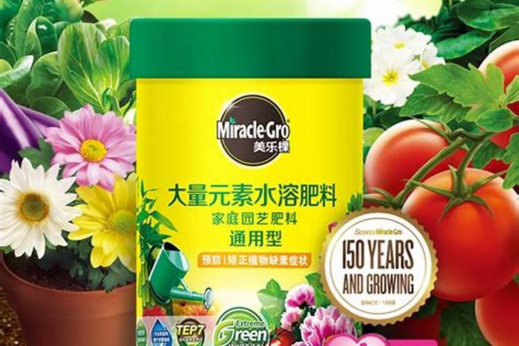 玉米使用什么叶面肥好(玉米喷施什么叶面肥效果最好)