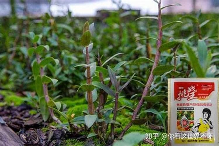 中国五大磷肥基地
