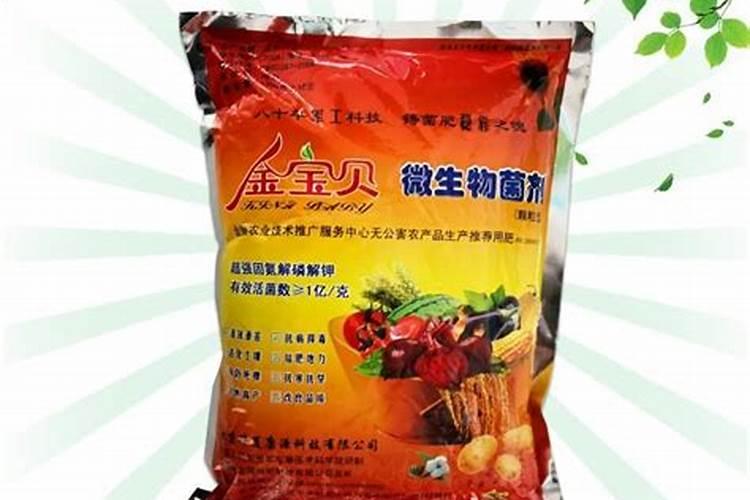 水稻怎么用生物菌肥