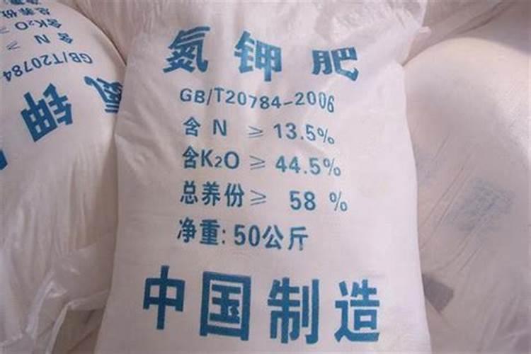 茶花掉叶子的补救方法,四个小窍门让茶花恢复健康