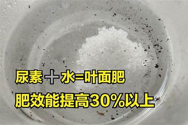 尿素能做水溶肥吗