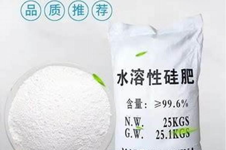 为什么种植油菜要增施硼肥？硼肥有什么作用？