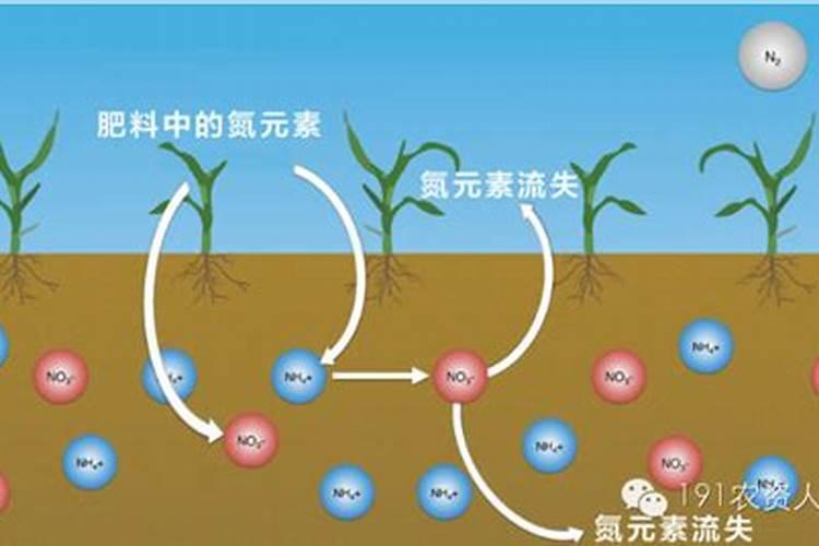 种甜瓜用什么底肥好